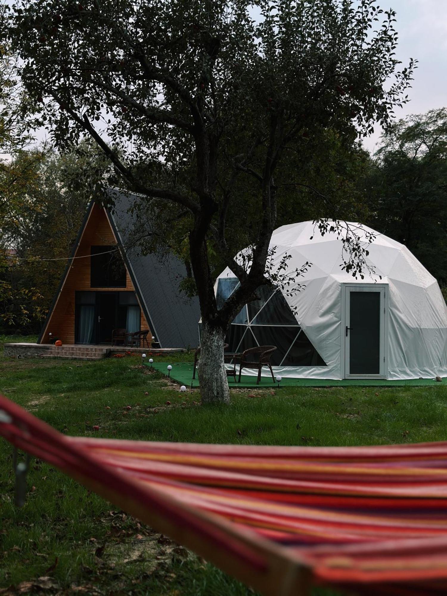 The Frog Glamping Hotel Horezu Luaran gambar