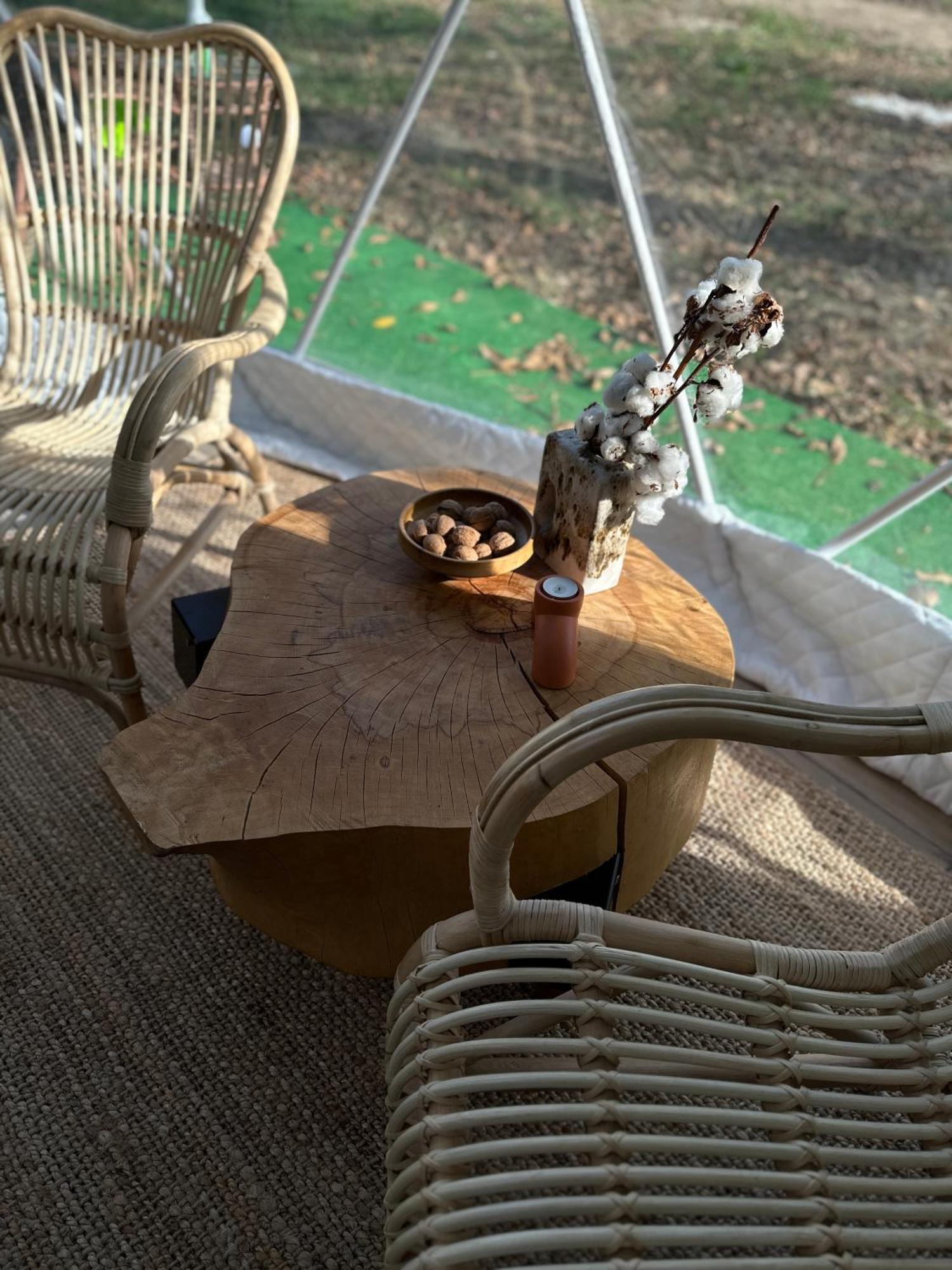 The Frog Glamping Hotel Horezu Luaran gambar
