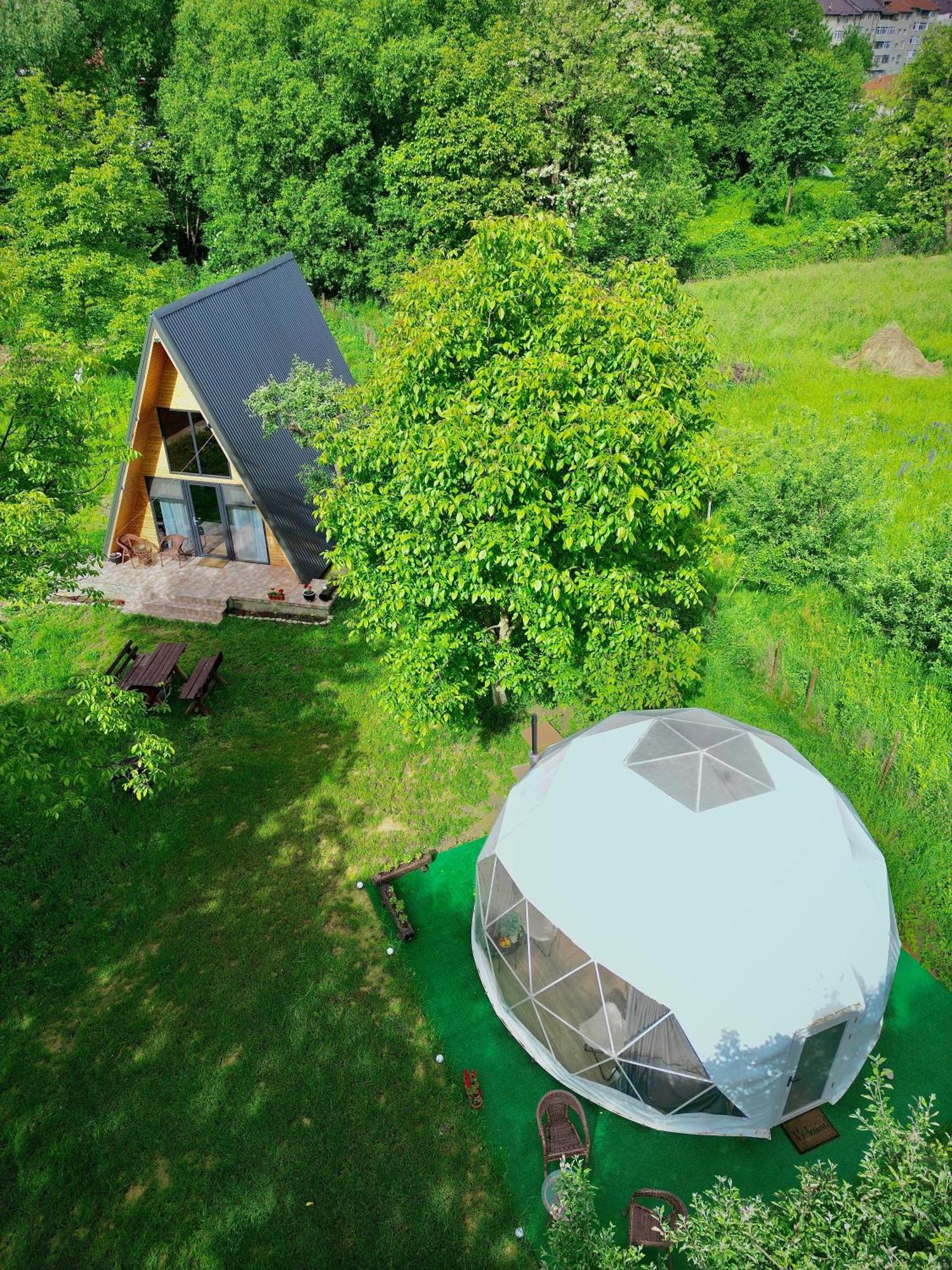 The Frog Glamping Hotel Horezu Luaran gambar