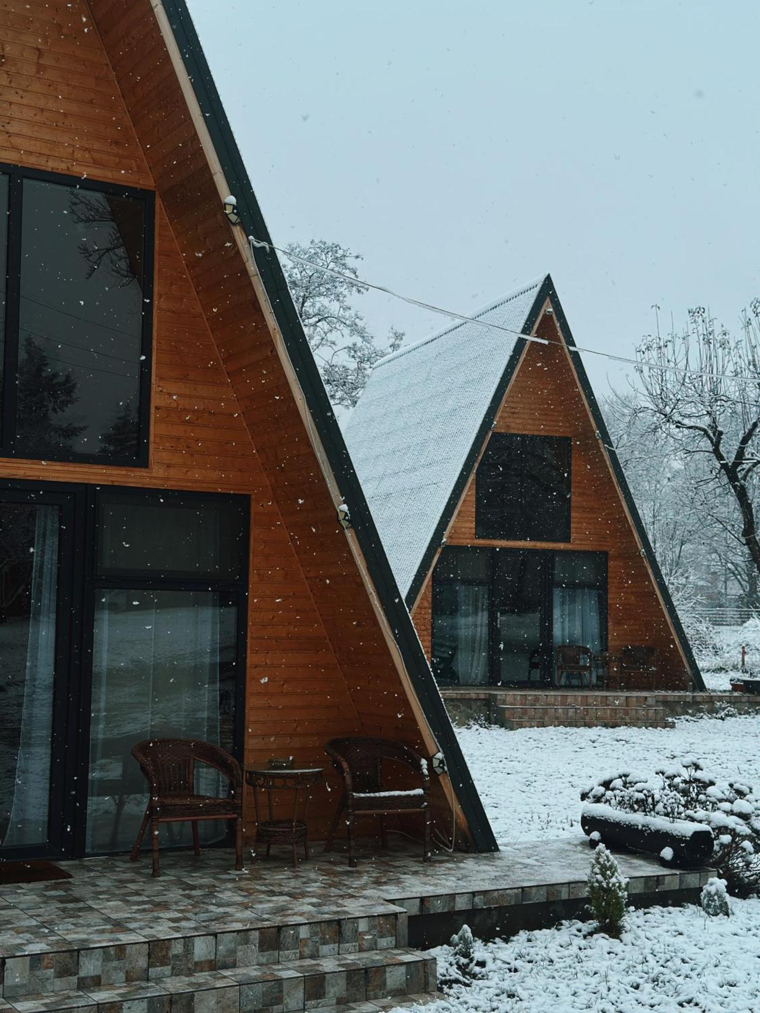 The Frog Glamping Hotel Horezu Luaran gambar