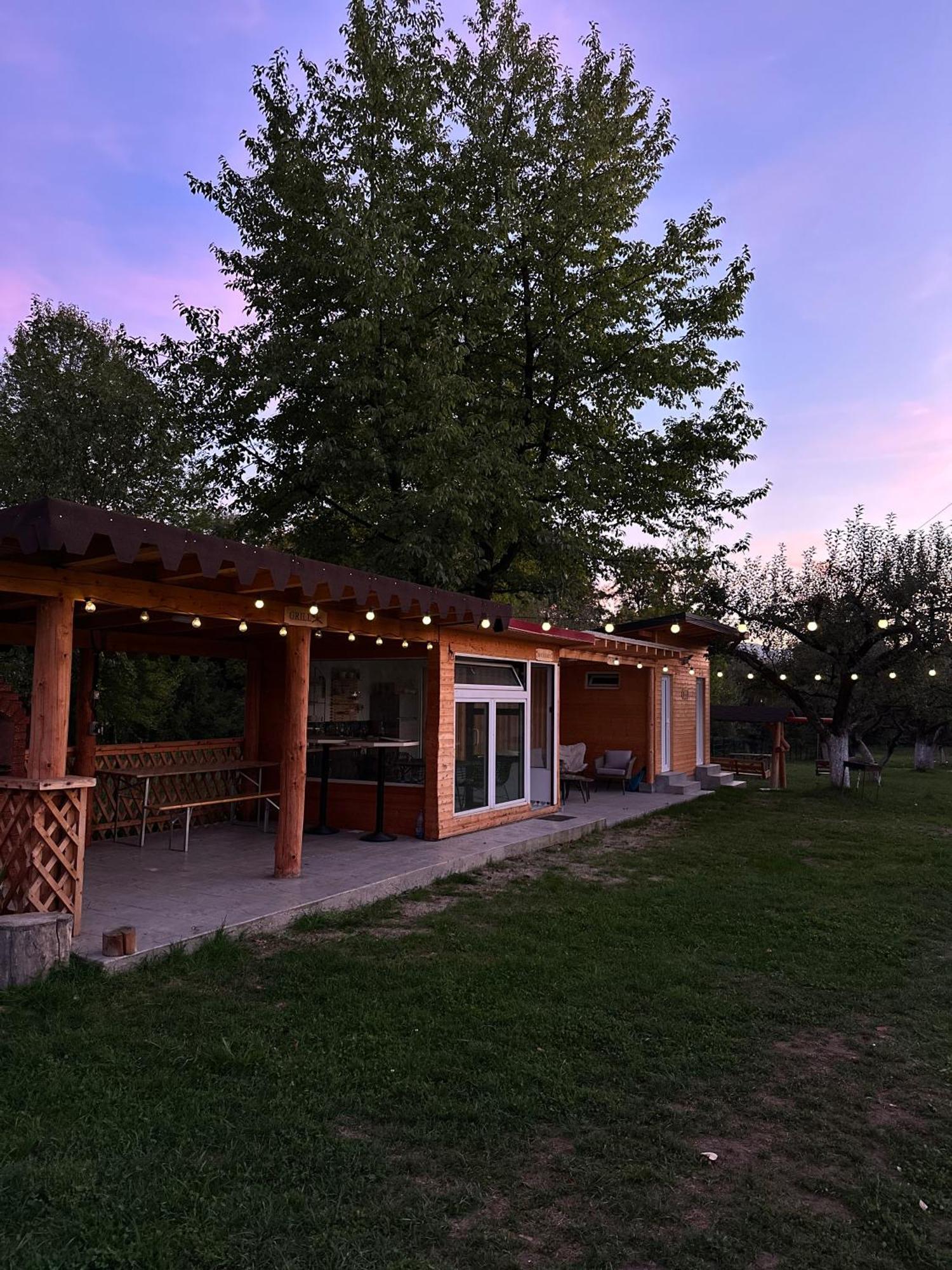 The Frog Glamping Hotel Horezu Luaran gambar